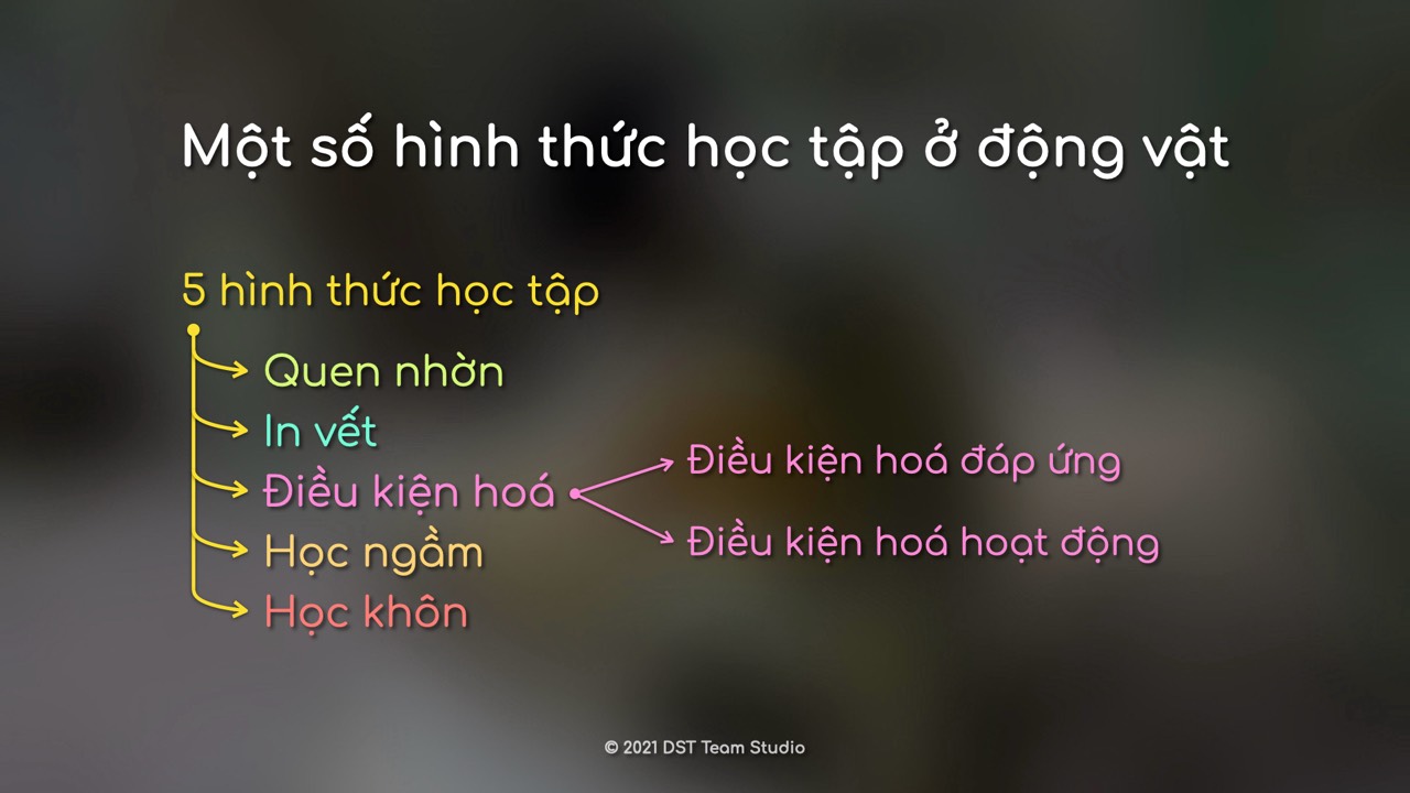 banner%20Một%20số%20hình%20thức%20học%20tập%20ở%20động%20vật